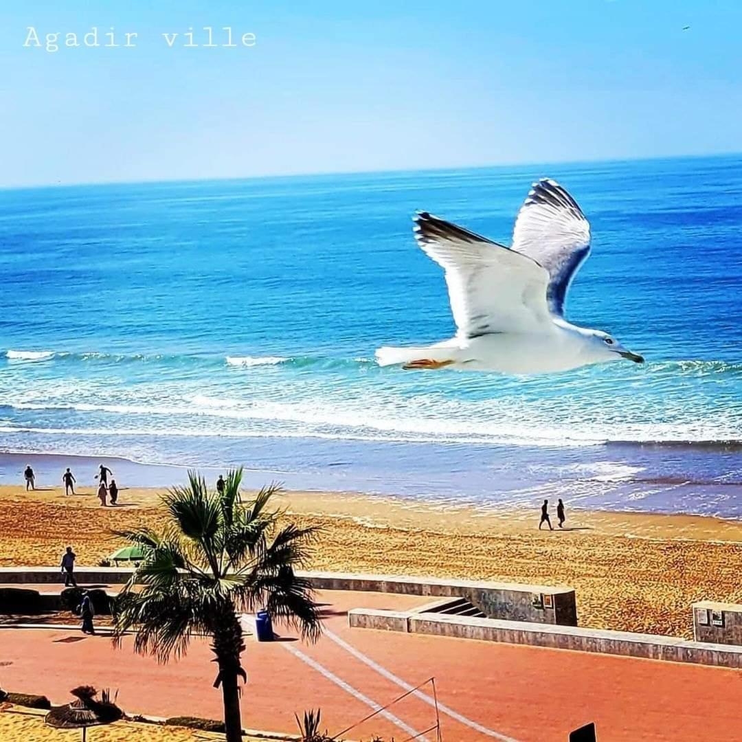 Appartement Deluxe Avec Piscine Privee Agadir Exteriör bild
